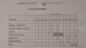 Marquelia Calendario de veda