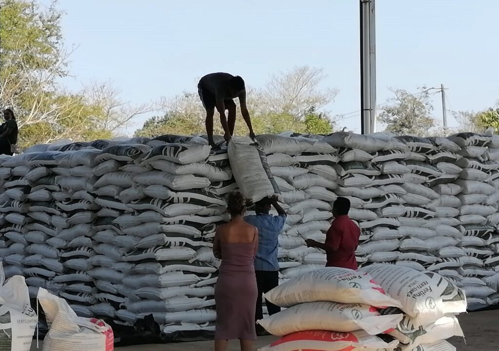 Marquelia Productores de la cabecera municipal ya recibieron el insumo