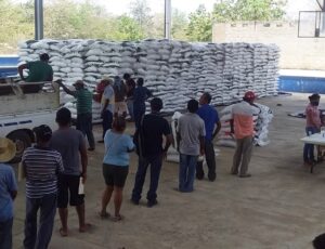 Marquelia Termino la entrega del insumo químico