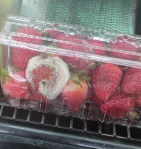 OME Las fresas en mal estado