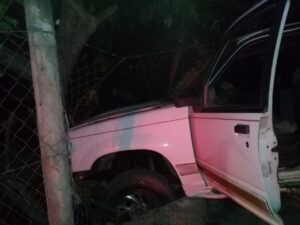 ROJA LA CAMIONETA ESTAMPADA (1)
