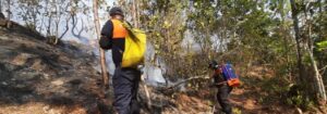 ROJA Protección Civil combatiendo el incendio (3)