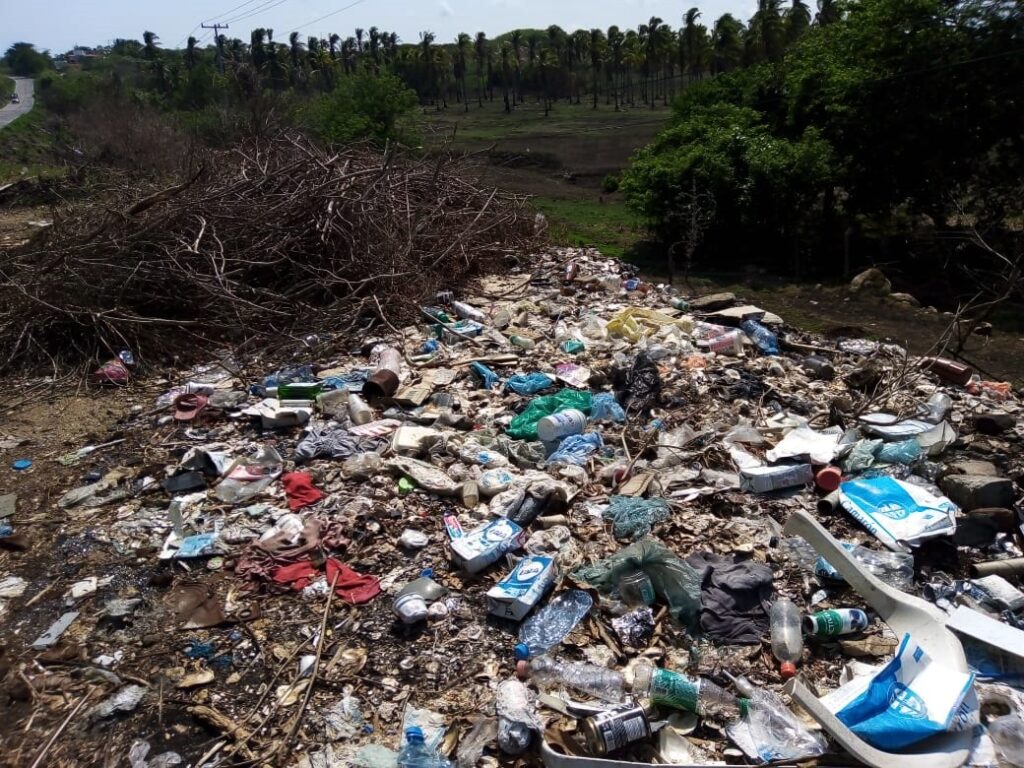 COPALA El basureo clandestino (1)