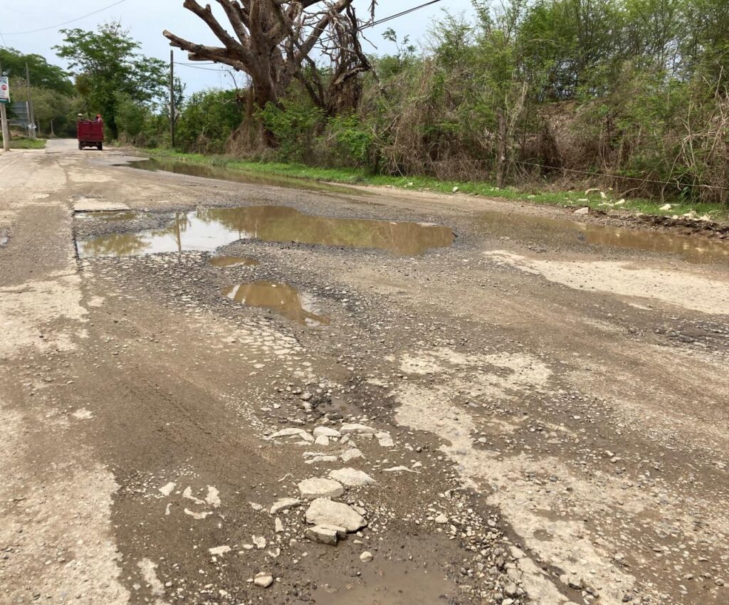 MARQUELIA LOS BACHES