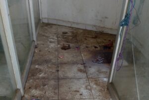Marquelia La gente utiliza este lugar para hacer sus necesidades fisiológicas (1)