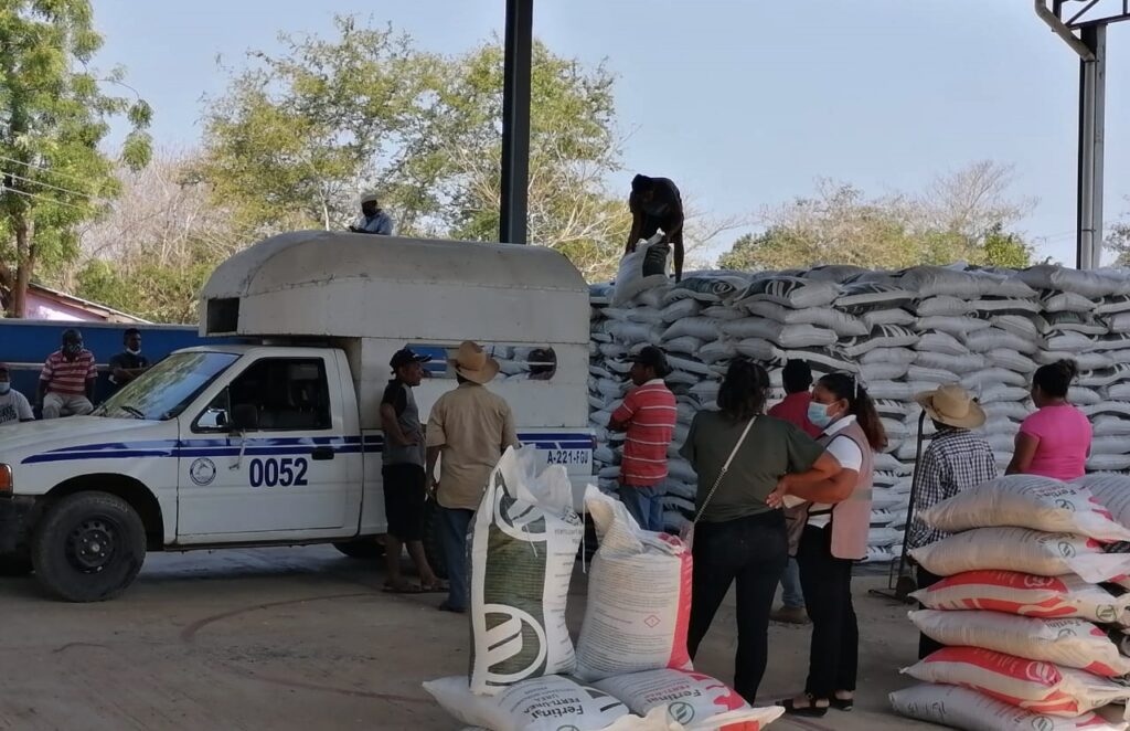 Marquelia Recibirán fertilizante productores de nuevo ingreso al padrón