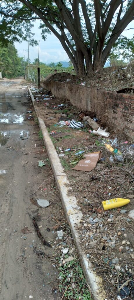 SAN LUIS BASURA TIRADA EN LA CALLE (2)
