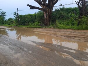 MARQUELIA El agua estancada