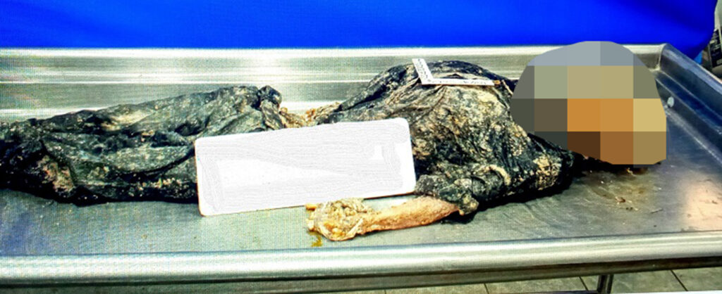 ROJA CÁDAVER DE LA VÍCTIMA ENCONTRADO EN UN CONTRA POZO