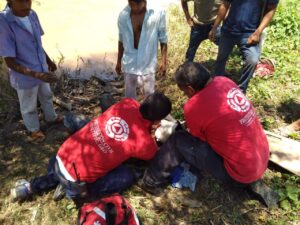ROJA Jerónimo Marcial Santiago siendo auxiliado (2)