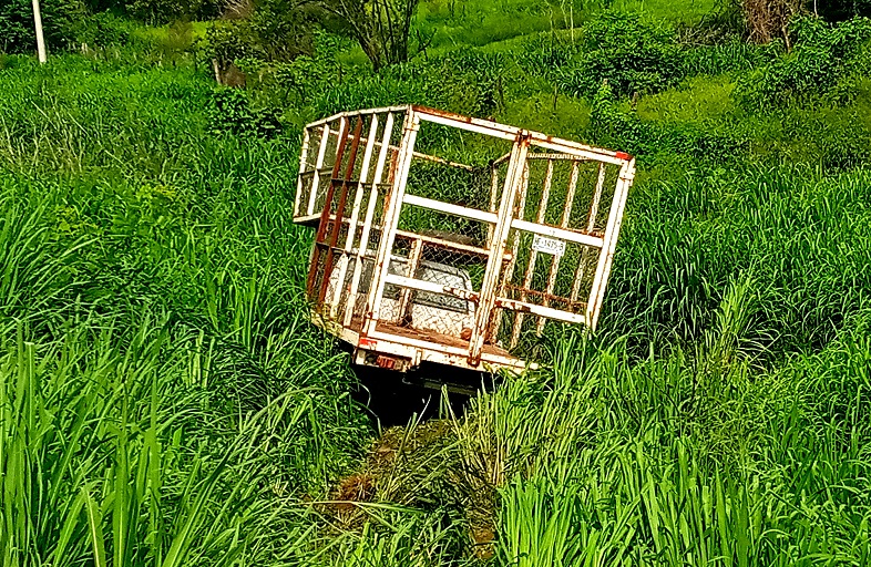 ROJA La camioneta volcada (2)