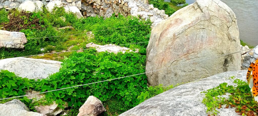 COPALA CABLES TIRADOS (1)