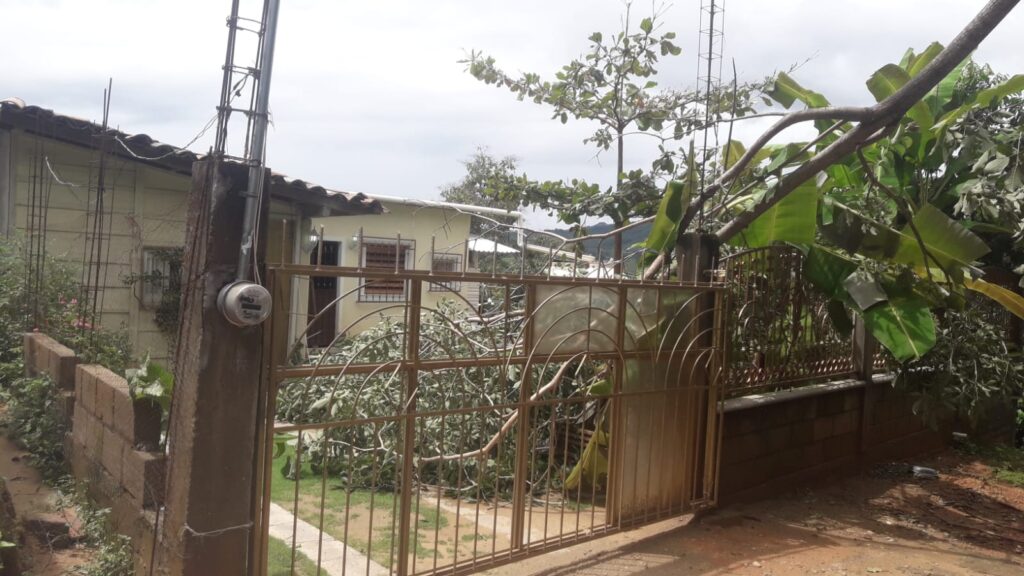 OME cae rama en vivienda