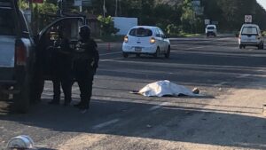 roja atropellado en la acpulco pinotepa
