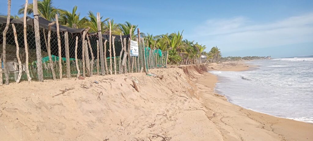 PRINCIPAL CAMPAMENTO TORTUGUERO