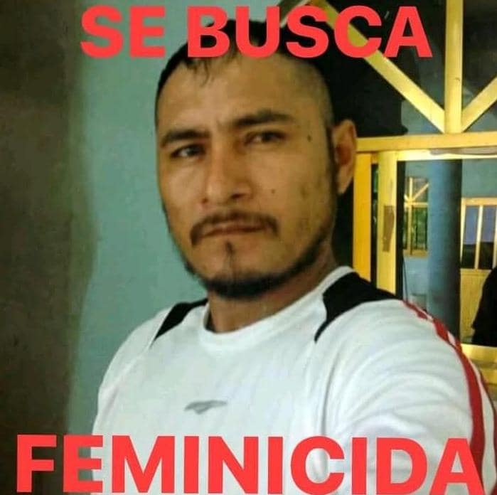 ROJA SE BUSCA