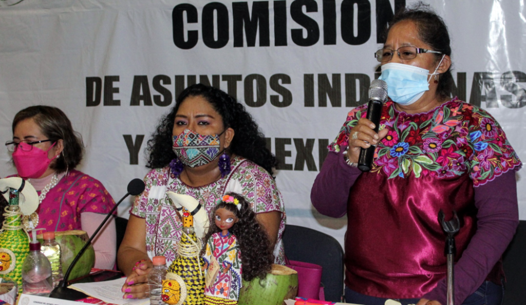 congreso reyna mejia