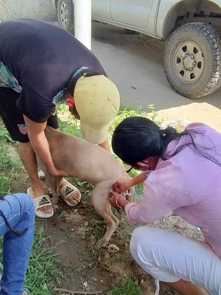 Marquelia La vacunación