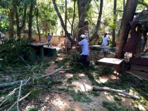 BOLETÍN CUAUTEPEC PODA DE ÁRBOLES