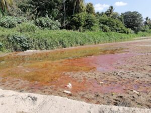 IGUALAPA El agua estancada y llena de aceite (1)