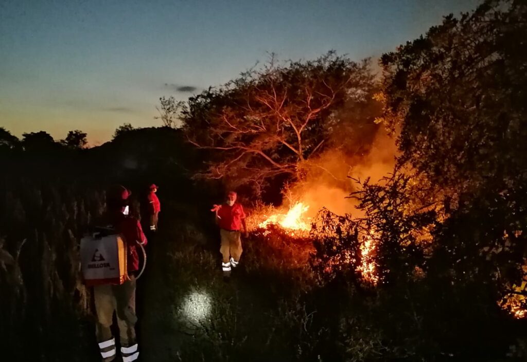SAN LUIS EL INCENDIO (8)