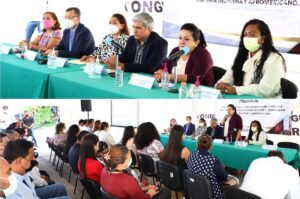 CONGRESO CONSULTA PUEBLOS INDIGENAS
