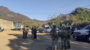 ESTADO VUELVEN A ZIHUAQUIO 2