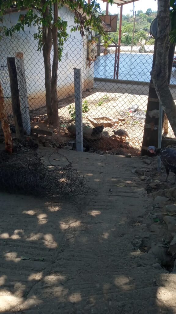 IGUALAPA EL CIERRE DEL PASO (2)
