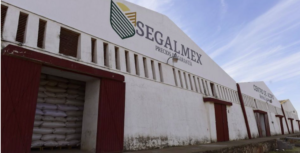 NACIONAL FRAUDE SEGALMEX
