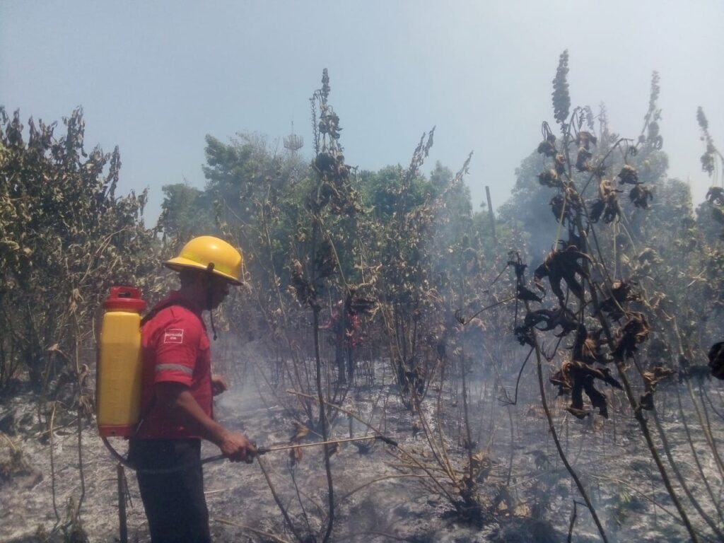 OME LOS ELEMENTOS SOFOCANDO EL INCENDIO (1)
