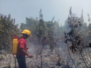 OME LOS ELEMENTOS SOFOCANDO EL INCENDIO (1)