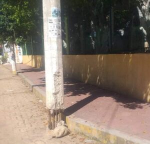 OME LOS POSTES DE CFE (2)