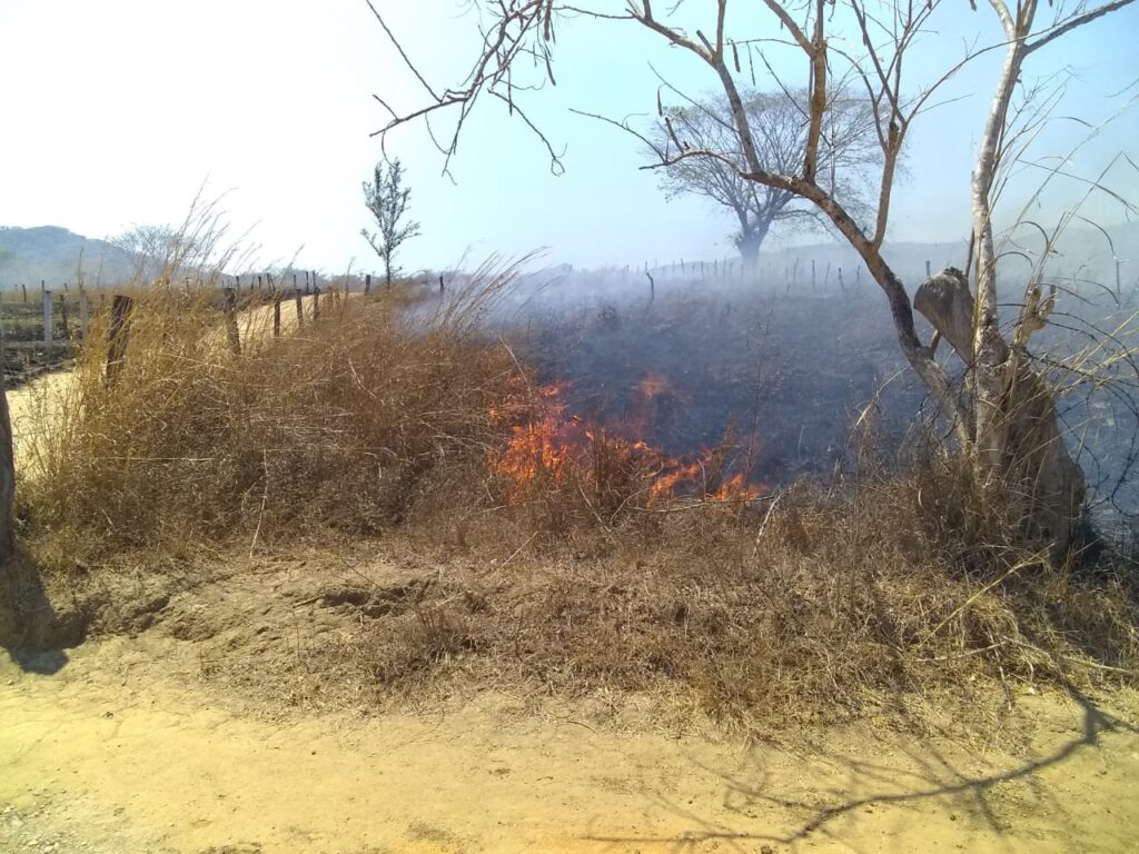 SAN LUIS EL INCENDIO (9)