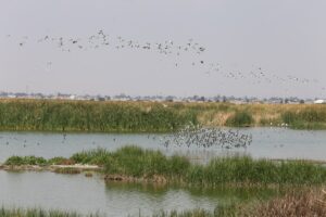 SOCIALES EL GRAN LAGO (4)