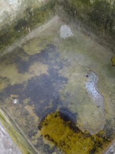 COPALA PILETAS SIN AGUA
