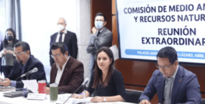 NACIONAL REFORMA ELECTRICA AVAL COMISIONES