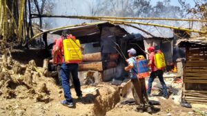 ROJA La casa incendiándose (2)