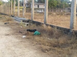 SAN LUIS BOLSAS CON ANIMALES MUERTOS