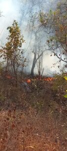 SAN LUIS EL INCENDIO (1)