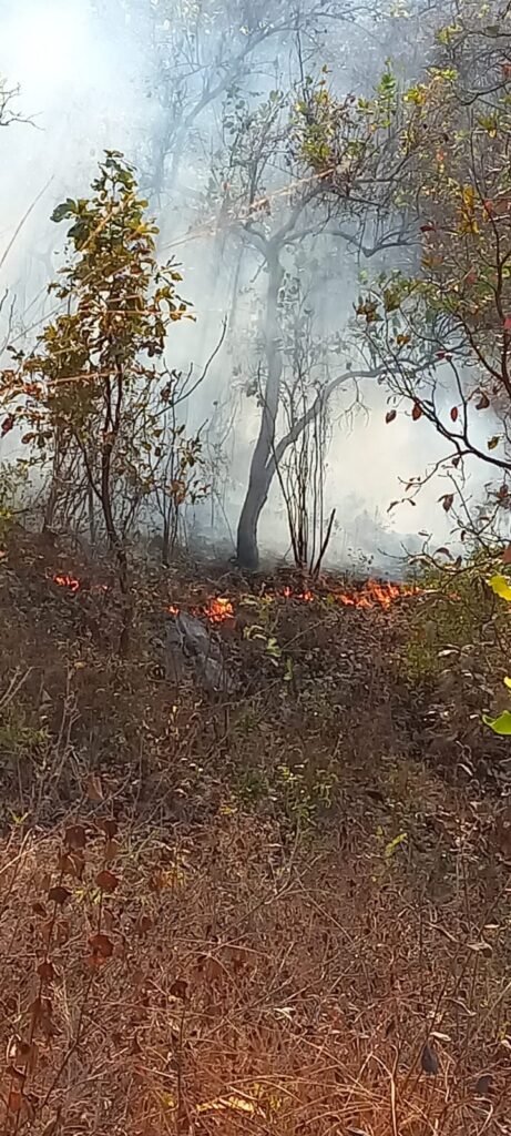 SAN LUIS EL INCENDIO (1)