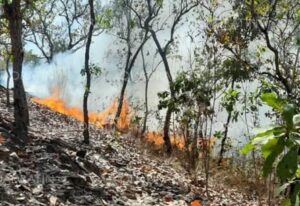 TLACO INCENDIO