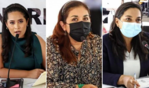congreso diputadas no avalaran consulta