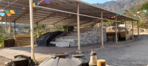 estado fertilizante (3)