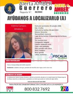 principal algunas desaparecidas (4)