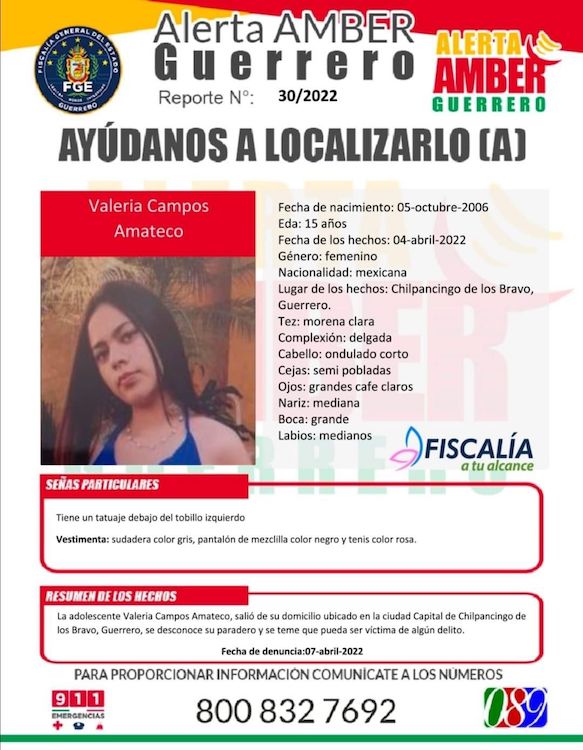 principal algunas desaparecidas (4)