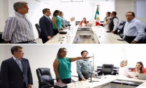 CONGRESO COMISION LEY SEGURIDAD