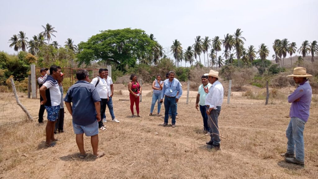 Marquelia Inicio de obra en Barra de Tecoanapa (2)