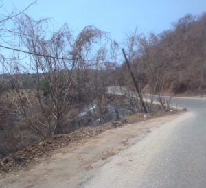 Marquelia Postes afectados por incendios