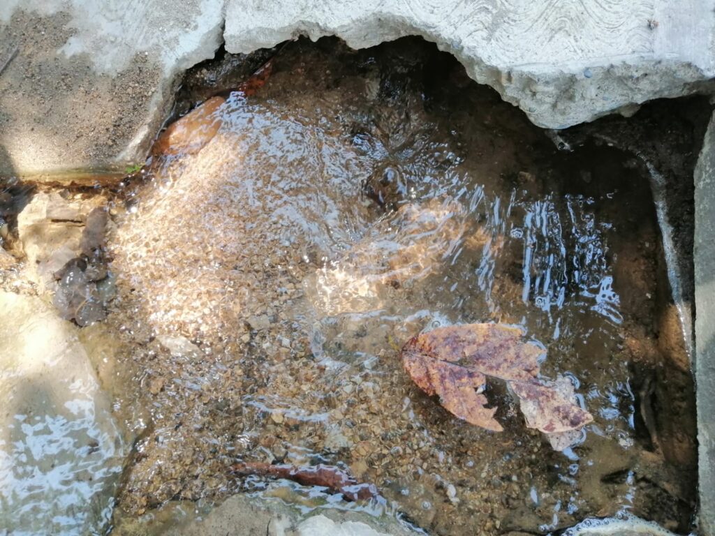 OME La fuga de agua (1)