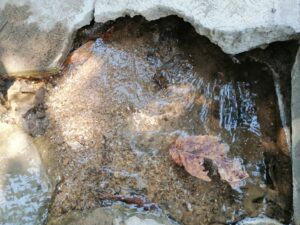 OME La fuga de agua (1)